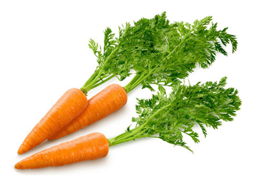 Ранние сорта моркови созревают уже в июне