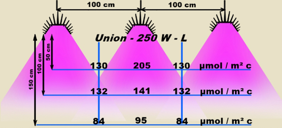 Lighting diagram UPS-170W-T