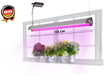 Mit der LED-Deckenleuchte «UNION» können Pflanzen auf der Fensterbank in der Wohnung gezüchtet werden.