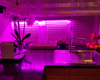 Светодиодная фитолампа возле мойки на кухне.