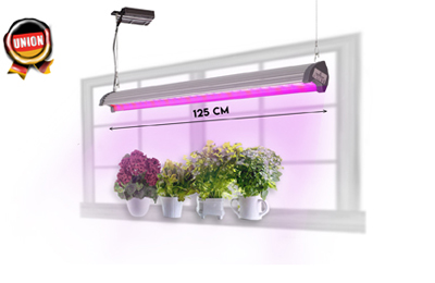 LED-Oberlichtphytolampe «UNION» für private Nutzung in Wohnungen und Häusern