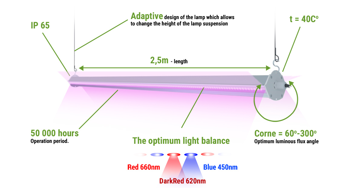 IP 65; Adaptive design of the lamp which allows to change the height of the lamp suspension; Length 2,5m; t = 40C; 50 000 hours; Operation period; The optimum light balance. Red 660nm, Blue 450nm, Dark Red 620nm; Corne 60C - 300C.  Optimum luminous flux angle.